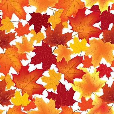 Autumn maple leaves seamless pattern Floral background