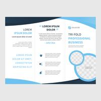 Professional Brochure Vector Template