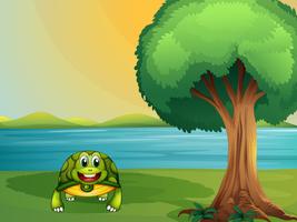 Una tortuga al lado de un árbol en el río. vector