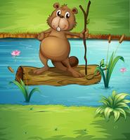 A beaver holding a wood in the river vector