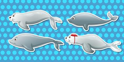 Nutria y delfines vector