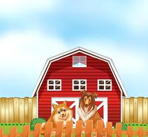 Dogs and barn vector