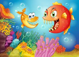 Two fishes with big fangs under the sea vector