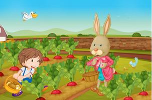 Rabbit picking veggies vector