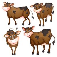 Brown cow vector