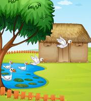 Ducks, a house and a beautiful landscape vector