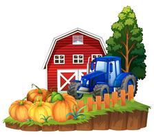 Farm scene with blue tractor and pumpkins