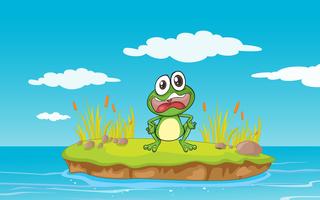 a frog and water vector