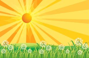 Sun Rays Cartoon Vector Art, Icons, and Graphics for Free Download