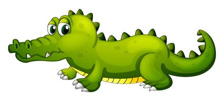 A giant green crocodile vector