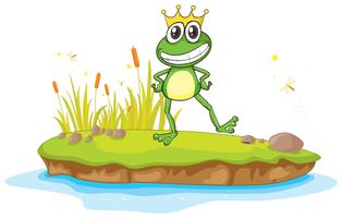 a frog and water vector