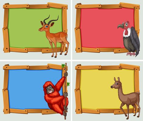 Frame designs with many animals