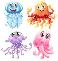 Jelly fish vector