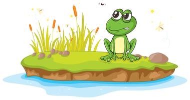 a frog and a water vector