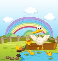 Ducks and a rainbow vector