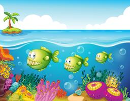 Three green piranhas under the sea vector