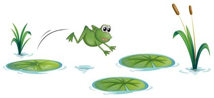 Una rana en el estanque con nenúfares. vector