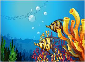 A deep sea with beautiful coral reefs and fishes vector