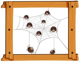 Many spiders on the web vector