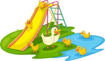 Ducks in a park vector