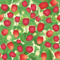 Strawberry pattern. Berry seamless background. vector