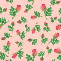 Floral seamless pattern. Flower rose background. vector