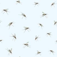Mosquitoes on blue sky background. Incest seamless pattern.