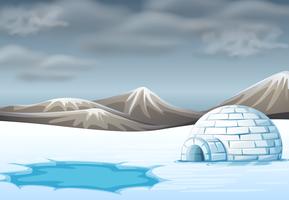 igloo in cold terrain vector