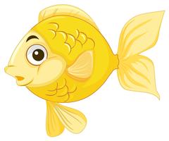 A goldfish on white background vector