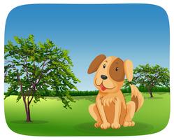 Dog sitting on grass vector