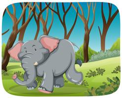 Elephant running in the woods vector
