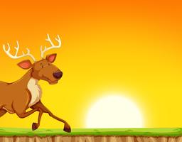 reindeer running past sunset vector