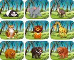 Conjunto de animal salvaje en bosque vector