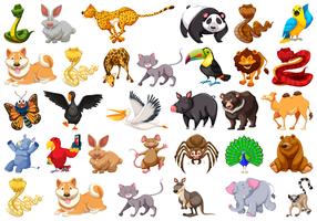 gran conjunto de animales vector