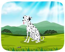 Dalmatian on nature scene vector