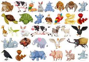 Conjunto de personaje de animales. vector