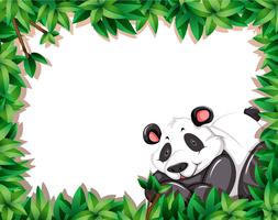 Panda in nature frame vector