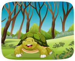 Linda tortuga en el bosque vector