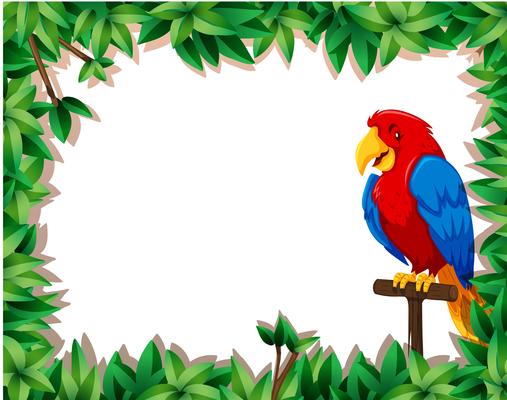 Parrot with nature frame