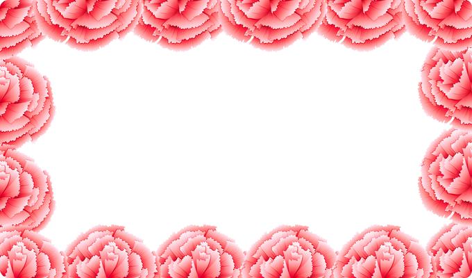 Pink carnation flower frame