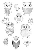 Owl logo set.Beautiful vector set of twelve