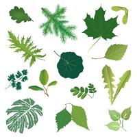 Nature leaf icon set. Herb floral sign. Summer leaves season collection vector