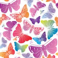 Butterfly seamless pattern. Summer holiday wildlife floral background. vector