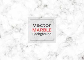 Abstract white marble texture. vector