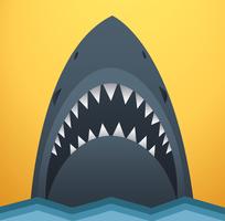 Shark vector illustration 