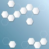 abstract bee hive  hexagon background vector