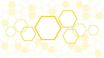 hexagon abstract background vector