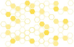 bee hive background 