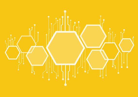 abstract bee hive , hexagon and technology line background