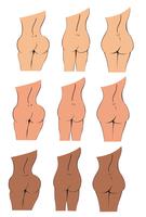 bottom , butt , booty cartoon  vector